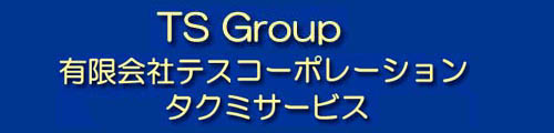 TS GROUP